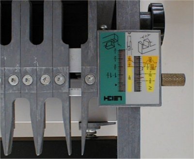 Leigh Scale