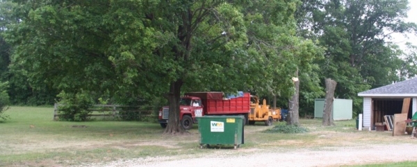 Tree Cutting